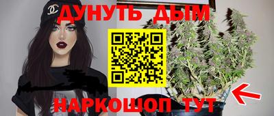крисы Кунгур