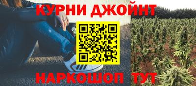 крисы Кунгур