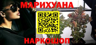 крисы Кунгур