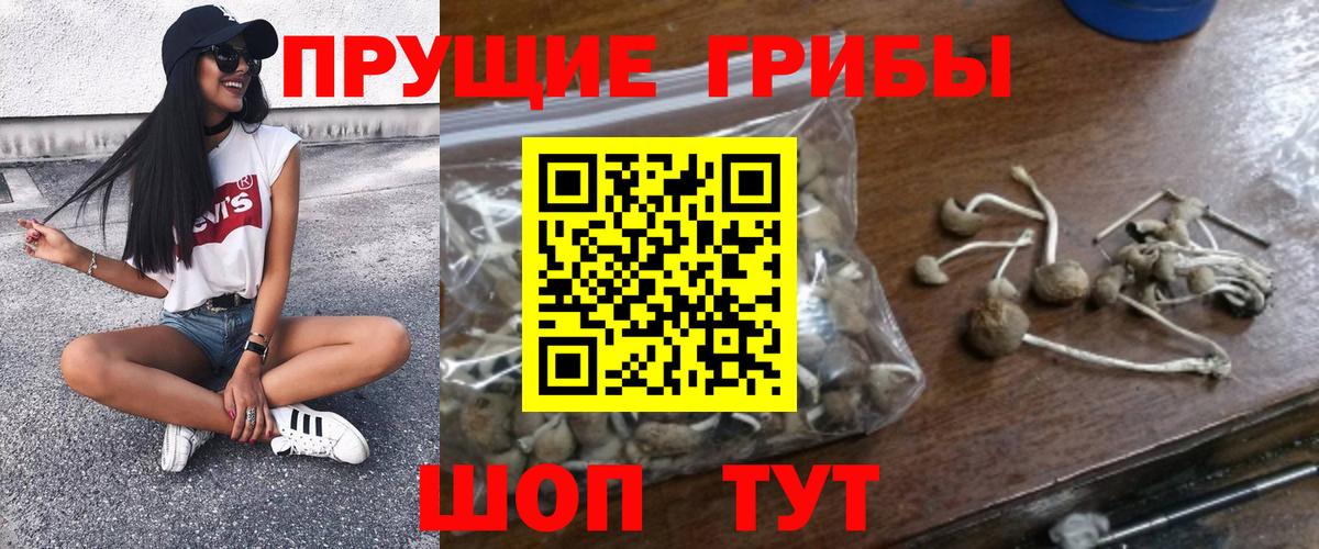 Метадон Волгодонск