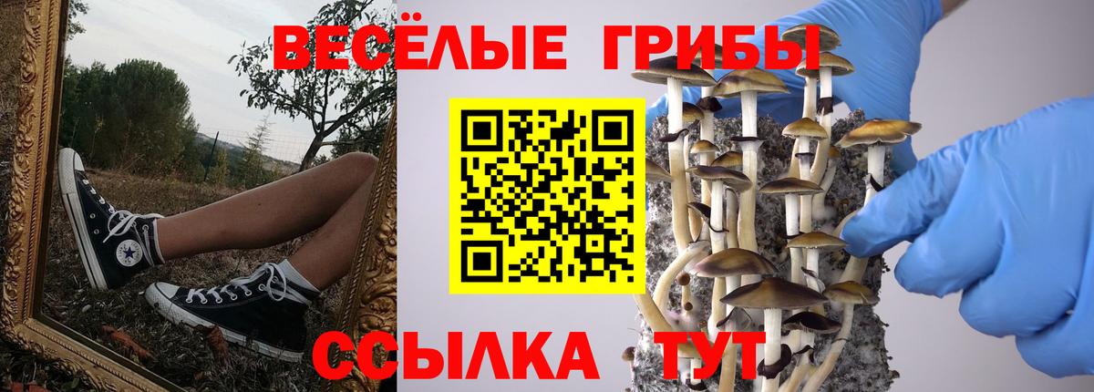 Псилоцибиновые грибы ЛСД  Вход с VPN  Волгодонск  Галлюциногенные грибы мицелий 